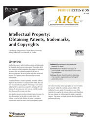 Intellectual Property: Obtaining Patents, Trademarks, and Copyrights